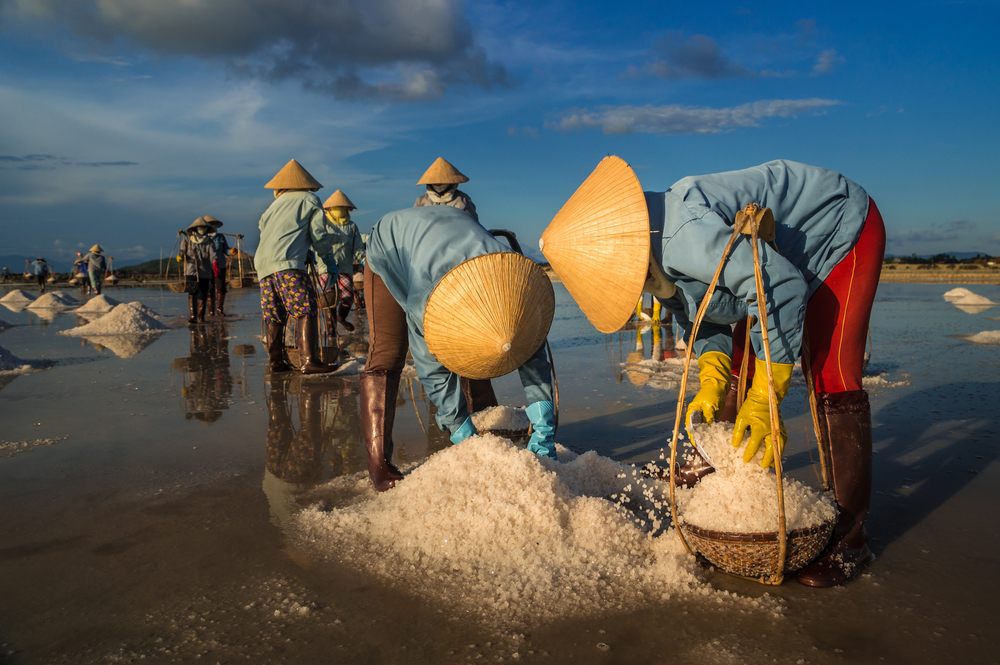 Nha Trang, Vietnam. Women carry salt from salt farm to factory. Photo: Shutterstock
