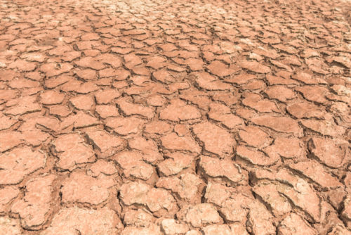 climate change, climate policy