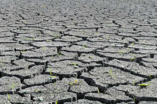 climate change, drought