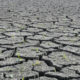 climate change, drought