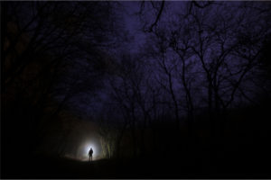 man with a torch in a dark forest