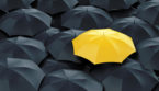 Yellow umbrella in a crowd of black umbrellas