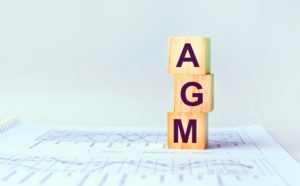 AGM cubes on financial documents