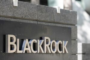 Blackrock shareholder democracy