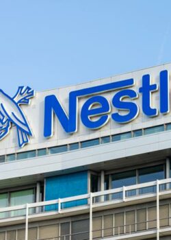 Nestle board
