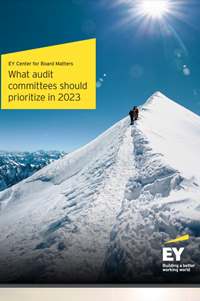 audit committees 2023