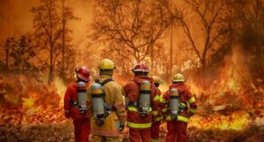 climate litigation