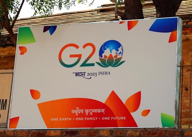 G20 oecd