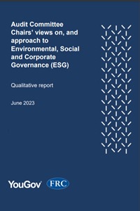FRC Audit views of ESG report cover