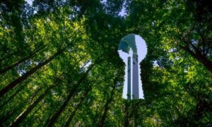sustainability report audit