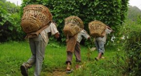 modern slavery
