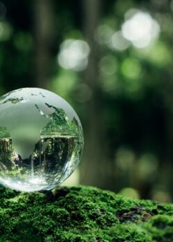 sustainability assurance