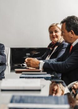 senior independent director