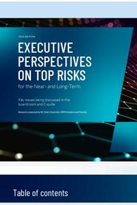 protiviti risks 2025 cover