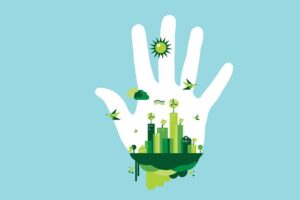 sustainability management