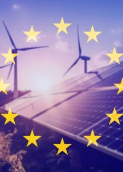 scope of sustainability reporting