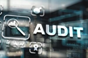 audit reform