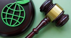 sustainability litigation