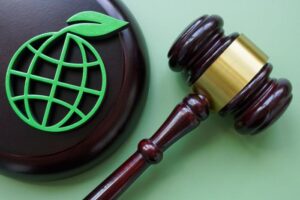 sustainability litigation
