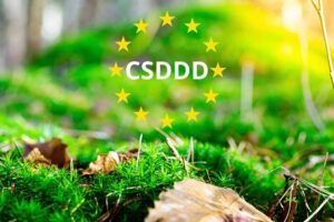 EU sustainability law