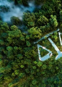 climate litigation risk management