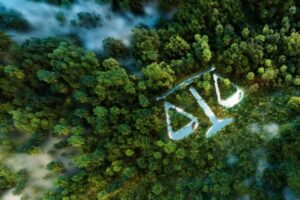 climate litigation risk management