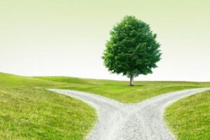 divided path