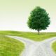 divided path