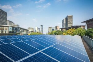 sustainability